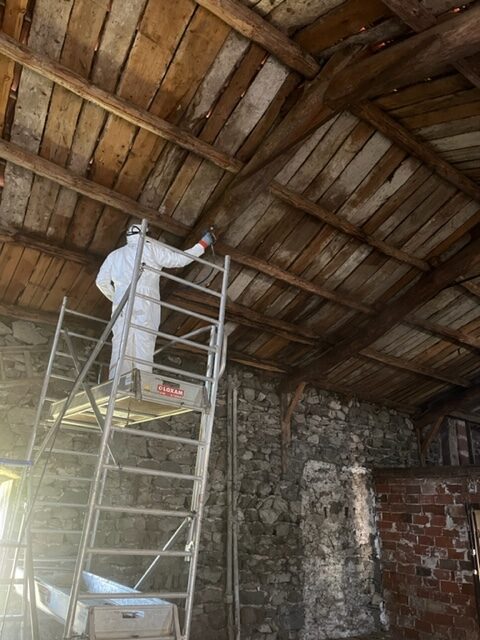 TRAITEMENT DES BOIS CURATIFS CONTRE LES XULOPHAGES SUR POUTRE BOIS
