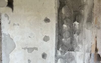 SOCIETE  DE NETTOYAGE APRÈS INCENDIE EN OCCITANIE