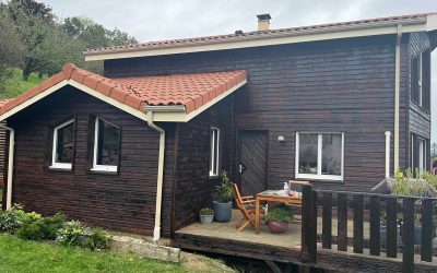 AÉROGOMMAGE CHALET BOIS APPLICATION GOUDRON DE PIN Genuine Pine Tar 850 HAUTE SAVOIE