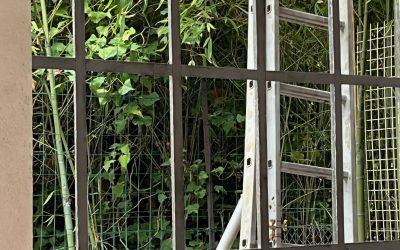 VERRIÈRE D’UN CHÂTEAU COMMENT LES RESTAURER