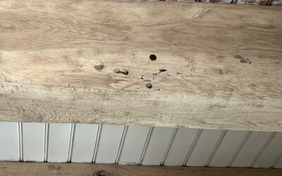 Votre entreprise de traitement des termites en région occitanie