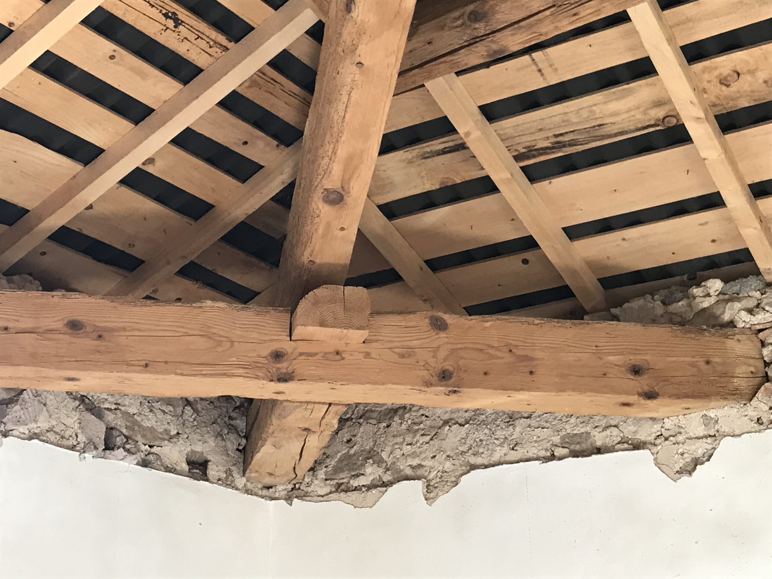 TRAITEMENT DES BOIS CONTRE LES TERMITES