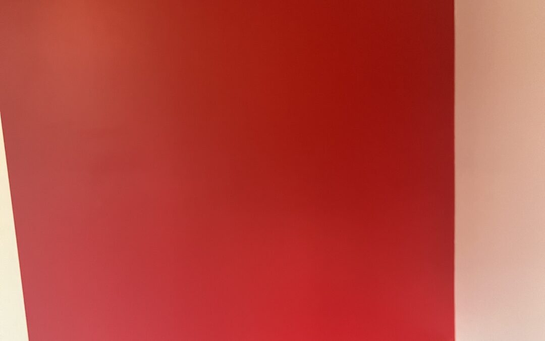 Application peinture couleur mat profond de chez TOLLENS