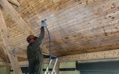 PROTECTIONS IGNIFUGES DU BOIS