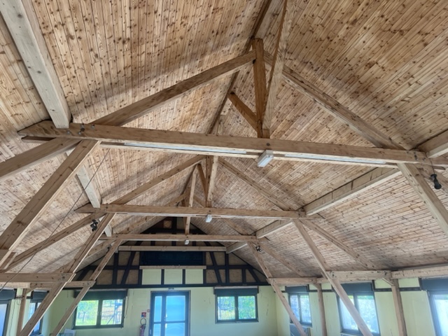 LAMBRIS DÉCAPÉ ET TRAITÉ 