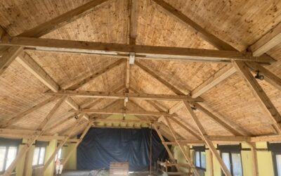 TRAITEMENT M1 DES BOIS EN ALSACE RÉGION GRAND EST