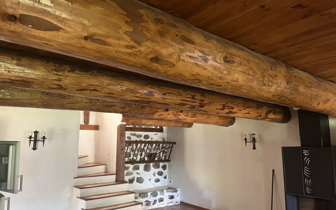 SABLAGE DE POUTRE BOIS AU PUY-EN-VELAY